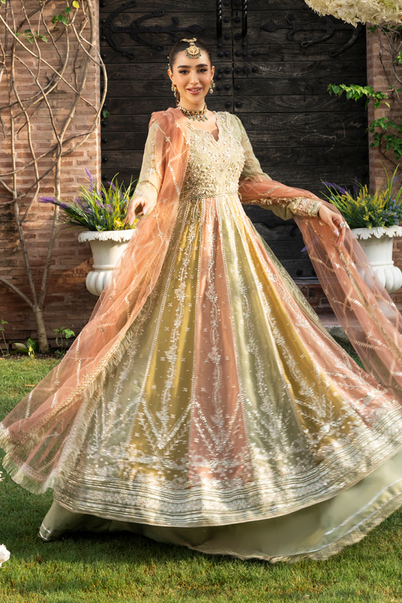 Rang Rasiya Wedding Formals '25