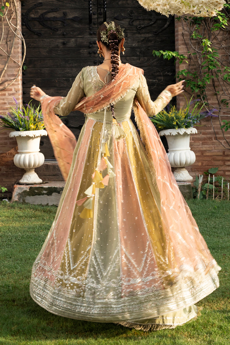 Rang Rasiya Wedding Formals '25