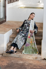 SHEZLIN CHIKANKARI EDIT '26 By Aabyaan