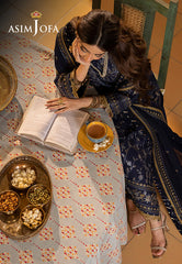 Asim Jofa Shadow Work