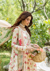 ELAF PRINTS CHIFFON 2025 VOL 1