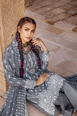 Seinna Embroidered Lawn Collection By Adan's Libas 09