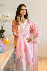 Rang Rasiya Carnation Festive Summer 25
