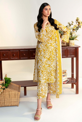 Rang e Bahar By Humdum