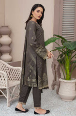 Banarsi Brosha Viscose
