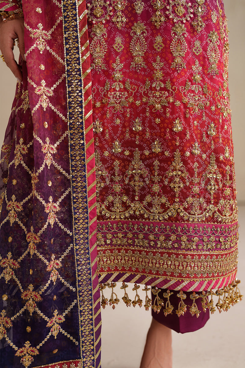 BAROQUE EMBROIDERED CHIFFON FANCY FORMAL