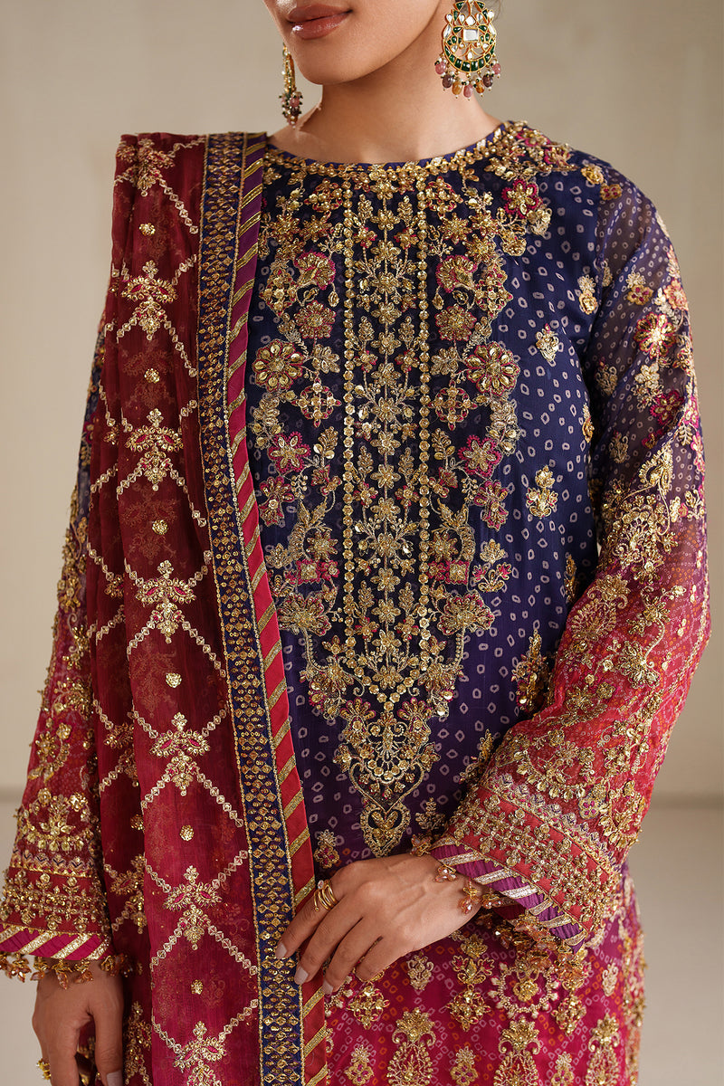 BAROQUE EMBROIDERED CHIFFON FANCY FORMAL