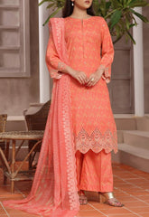 Aiza Momina Chikankari-D-54
