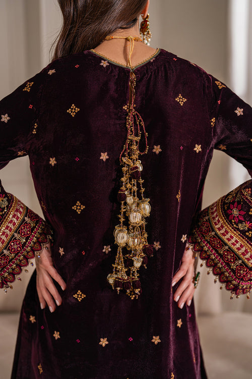 Baroque Velvet Embroidered Collection 24