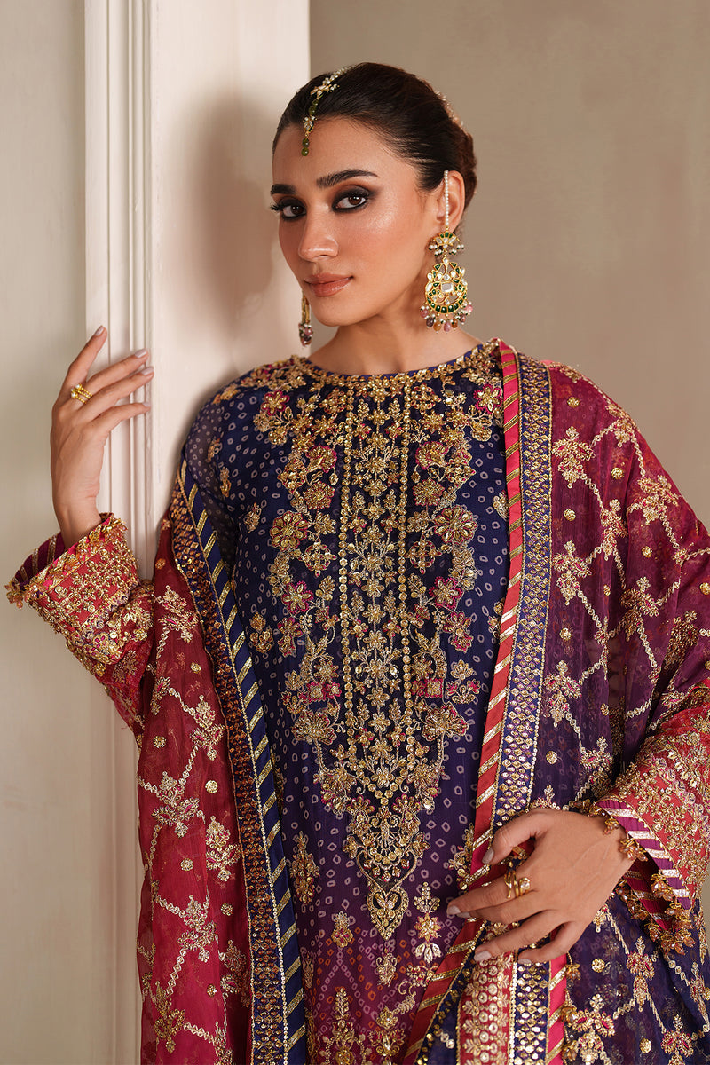 BAROQUE EMBROIDERED CHIFFON FANCY FORMAL