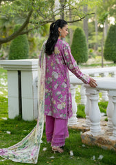 ELAF SIGNATURE - EMBROIDERED COLLECTION '26
