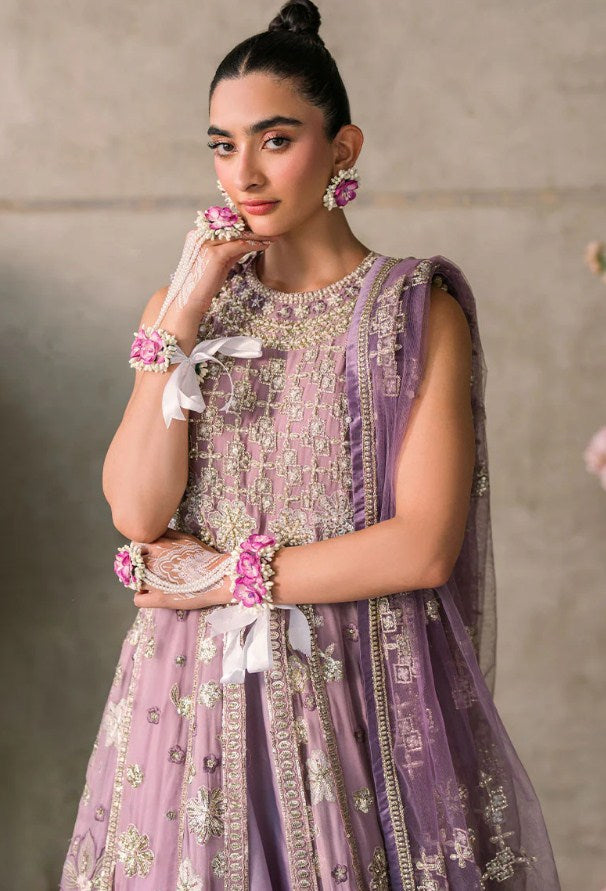 Mushq Mastani Evening Chiffon-D105