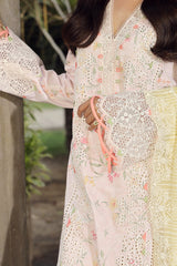 Qalamkar Festive Lawn Collection '24 (03)