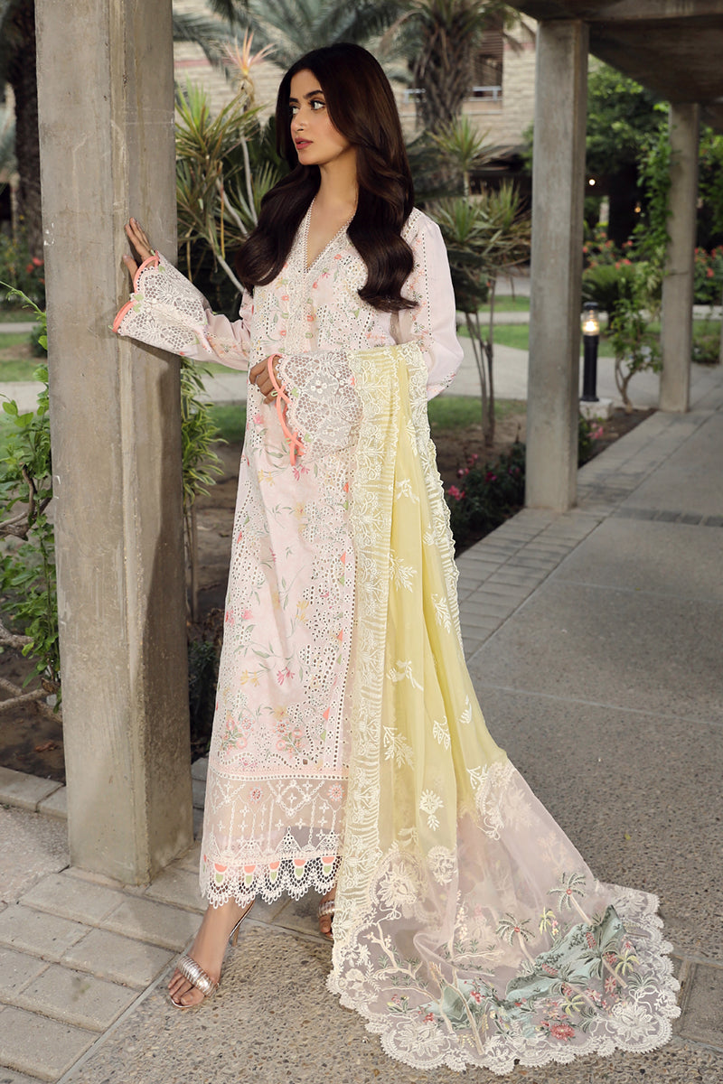 Qalamkar Festive Lawn Collection '24 (03)