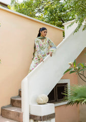 ELAF PRINTS CHIFFON 2025 VOL 1