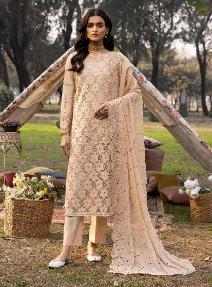 Noor e Chasham Embroidered Lawn Collection By Aalaya