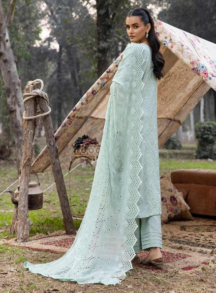 Noor e Chasham Embroidered Lawn Collection By Aalaya