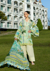 ELAF PRINTS COLLECTION 2025