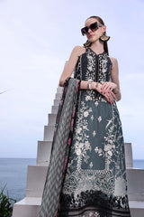 Noor Luxury Printkari By Sadia Asad 2B