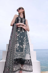 Noor Luxury Printkari By Sadia Asad 2B