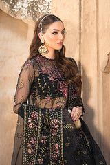 Ayzel Pheli Nazar Festive Chiffon Collection 24 (02)