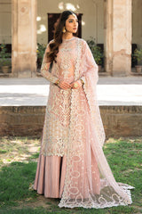 Ayzel Pheli Nazar Festive Chiffon Collection 24 (05)