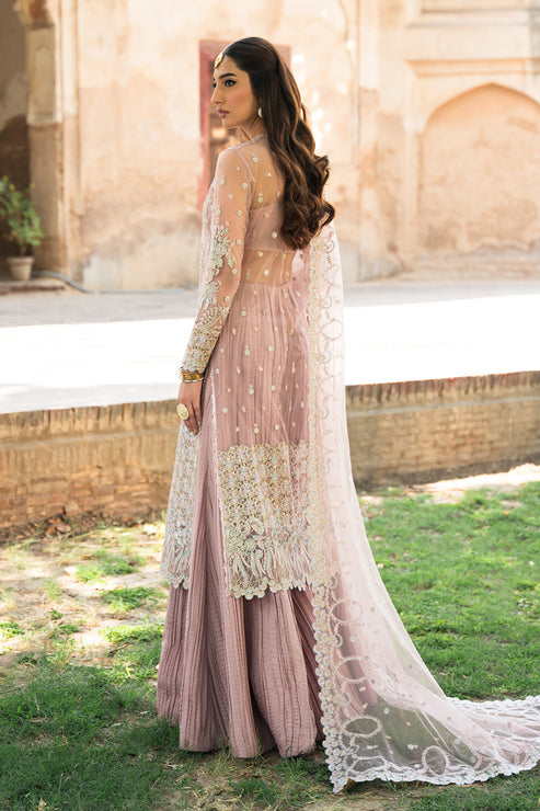 Ayzel Pheli Nazar Festive Chiffon Collection 24 (05)