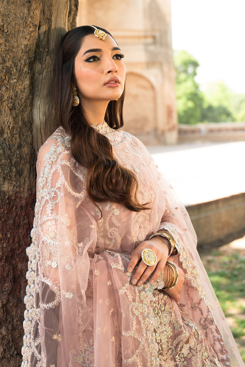 Ayzel Pheli Nazar Festive Chiffon Collection 24 (05)