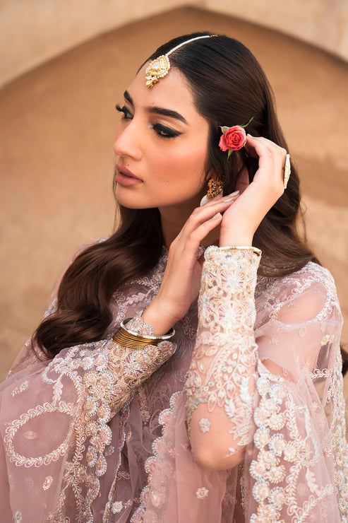 Ayzel Pheli Nazar Festive Chiffon Collection 24 (05)