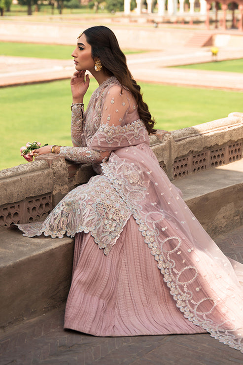 Ayzel Pheli Nazar Festive Chiffon Collection 24 (05)