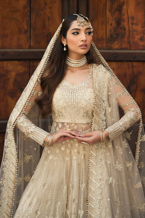 Ayzel Pheli Nazar Festive Chiffon Collection 24 (10)