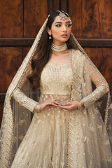 Ayzel Pheli Nazar Festive Chiffon Collection 24 (10)