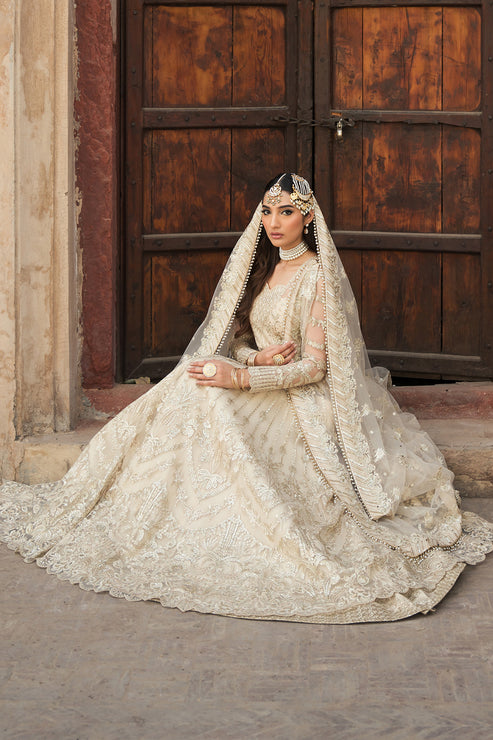 Ayzel Pheli Nazar Festive Chiffon Collection 24 (10)