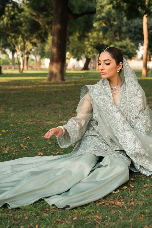 Ayzel Pheli Nazar Festive Chiffon Collection 24 (04)