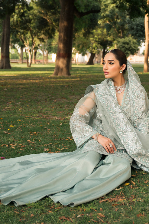 Ayzel Pheli Nazar Festive Chiffon Collection 24 (04)