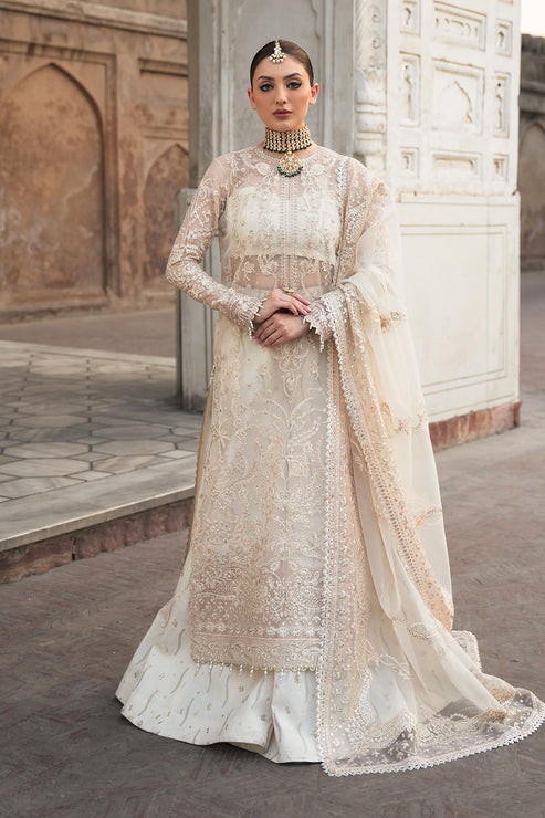 Ayzel Pheli Nazar Festive Chiffon Collection 24 (03)