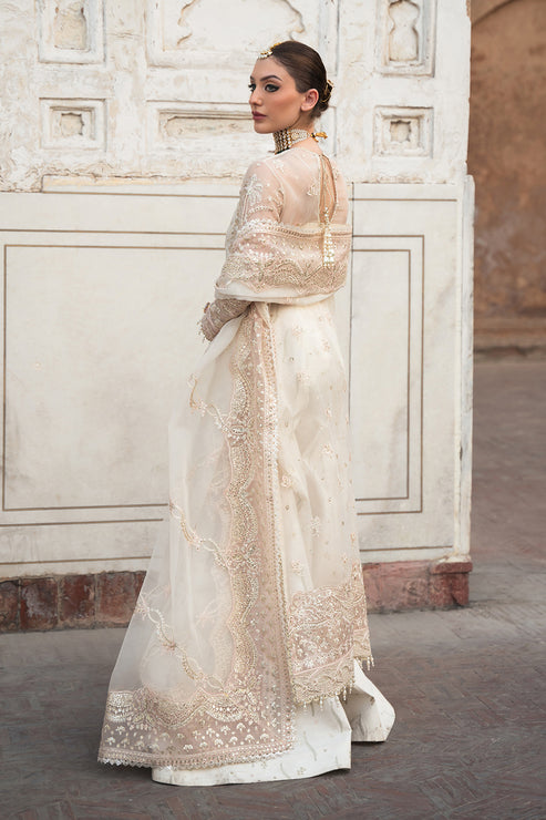 Ayzel Pheli Nazar Festive Chiffon Collection 24 (03)