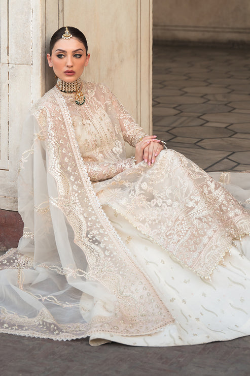 Ayzel Pheli Nazar Festive Chiffon Collection 24 (03)