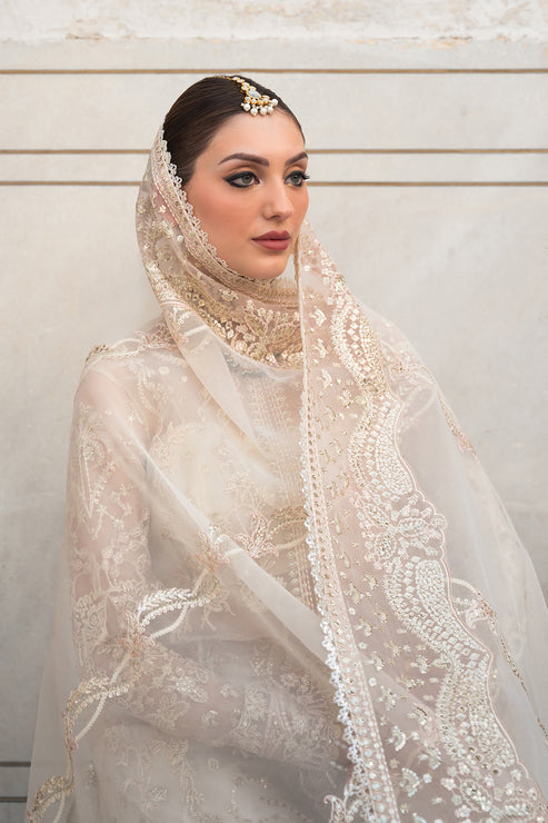 Ayzel Pheli Nazar Festive Chiffon Collection 24 (03)