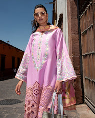 Odyssey Lawn'26 By Mushq