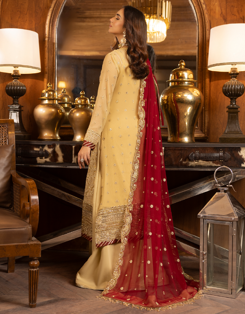 Sirr-e-Ayaa Embroidered Chiffon Collection By Ay Textile 06