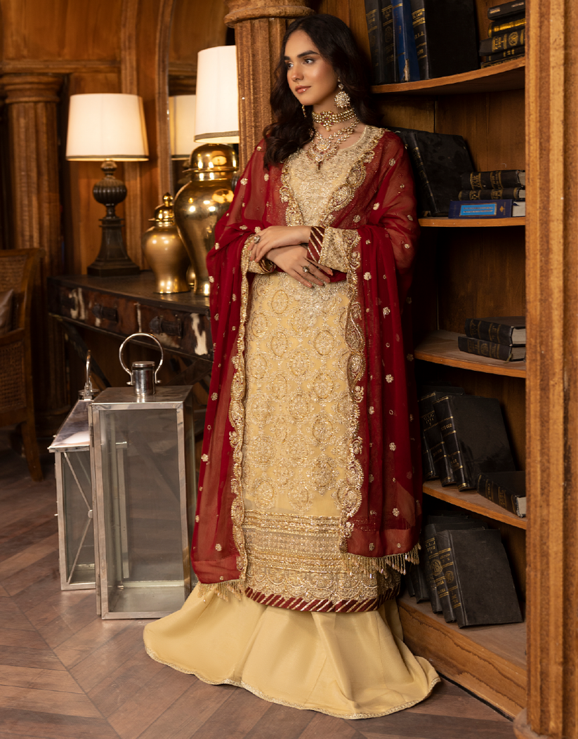 Sirr-e-Ayaa Embroidered Chiffon Collection By Ay Textile 06