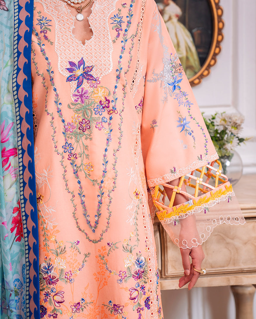 Aezel Embroidered Cambric Collection '25 By Roheenaz
