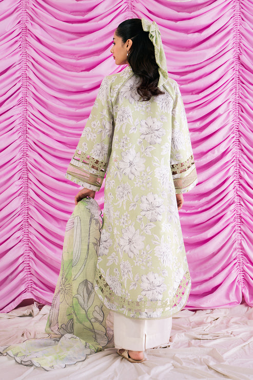 Afrozeh Renisa Embroidered Lawn Collection 24 (11)