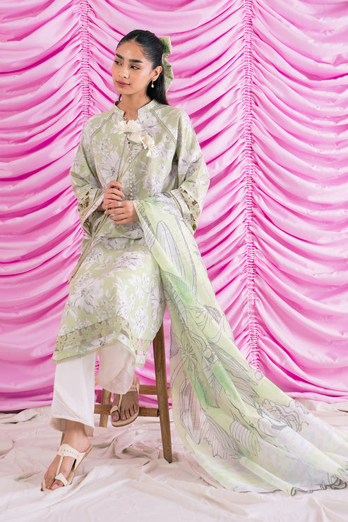 Afrozeh Renisa Embroidered Lawn Collection 24 (11)