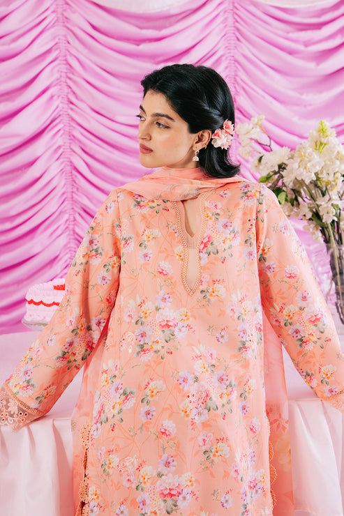 Afrozeh Renisa Embroidered Lawn Collection 24 (01)