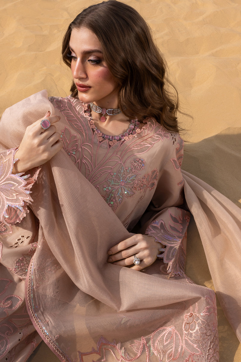 Rang Rasiya Premium Summer Collection '26