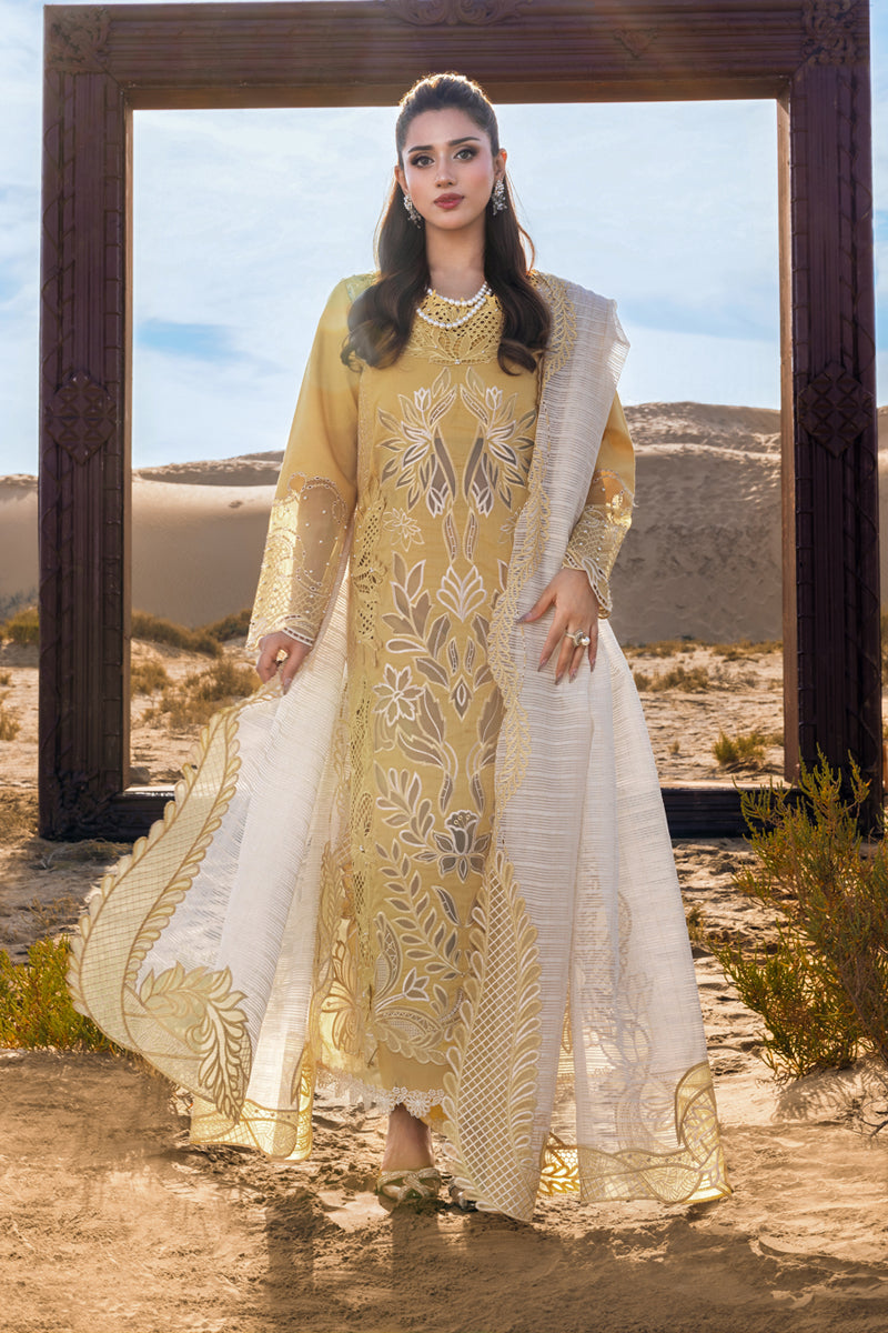 Rang Rasiya Premium Summer Collection '26