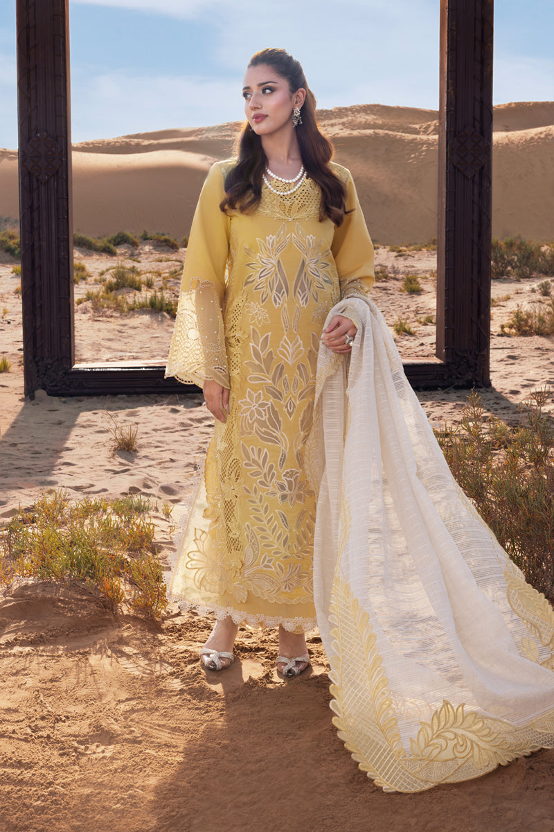 Rang Rasiya Premium Summer Collection '26