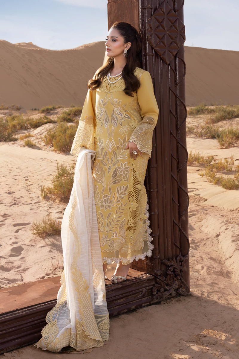 Rang Rasiya Premium Summer Collection '26